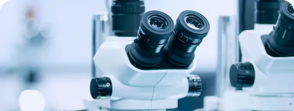Quality Testing Services